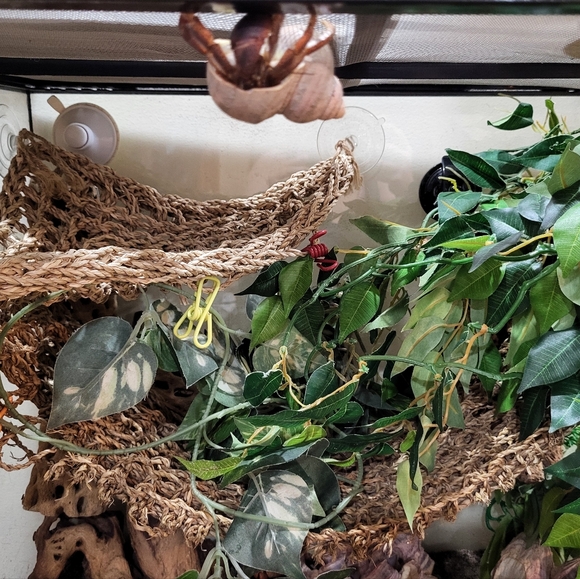 Meet the Posher Other - PLSreadBEFOREbuying!